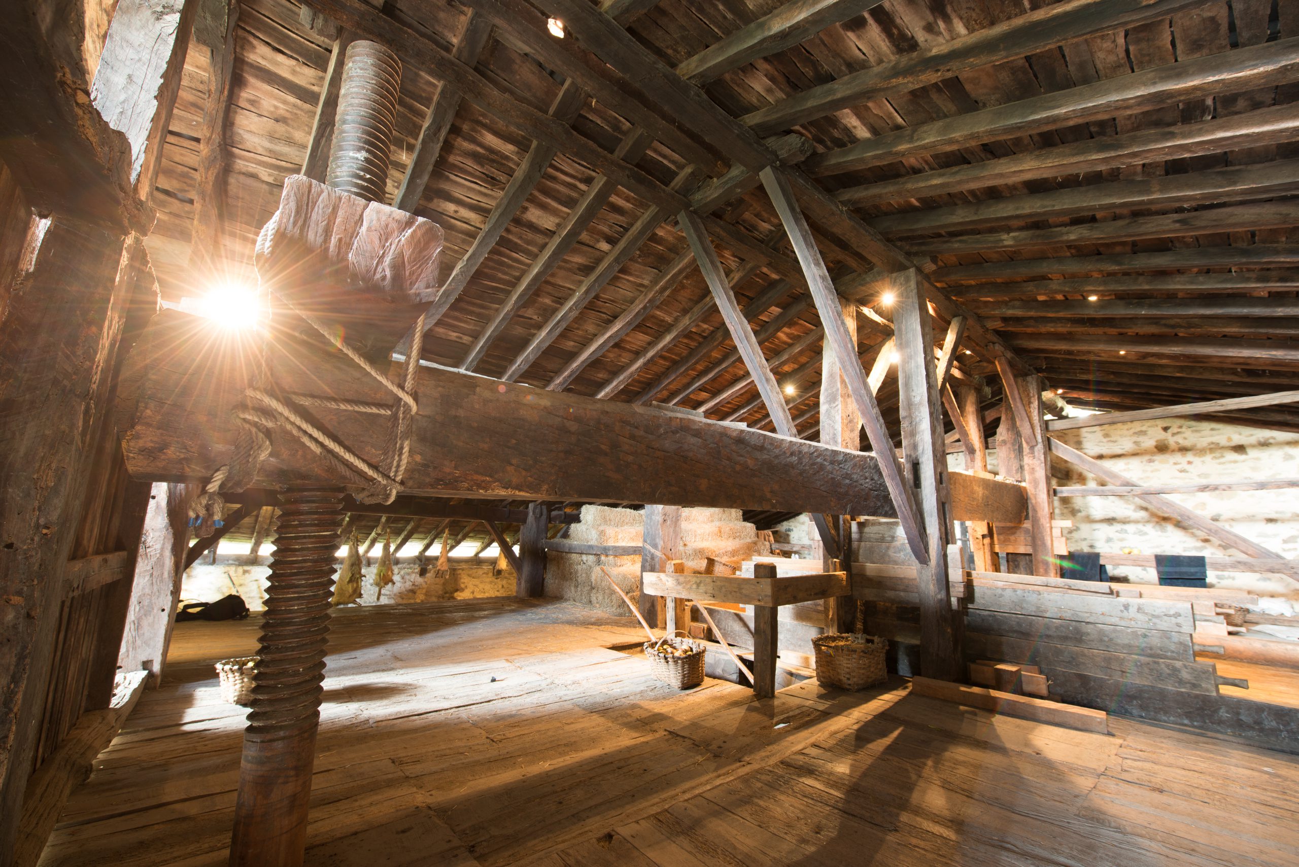 Caserío vasco Igartubeiti y bodega de sidra (con transporte incluido)