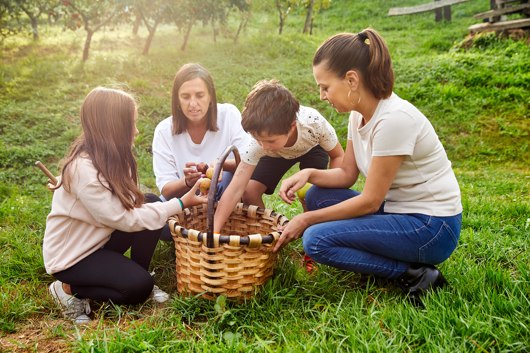 Experience of cider culture – Astigarraga