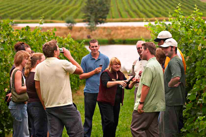 Visita privada con cata en dos bodegas de La Rioja Alavesa