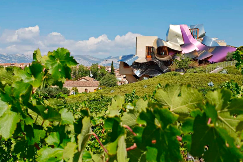 Visita privada con cata en dos bodegas de La Rioja Alavesa