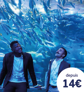 Billets pour l’Aquarium