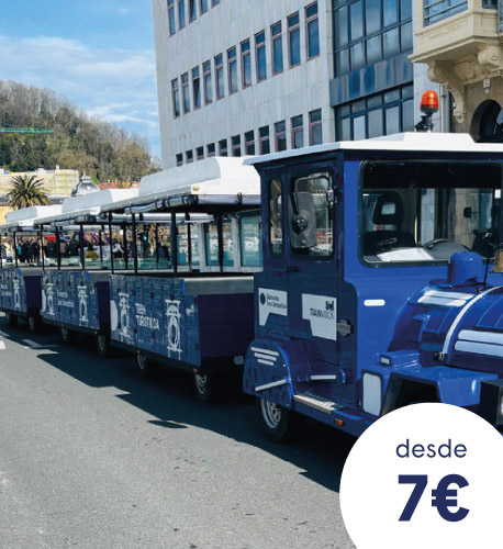 Tren turístico